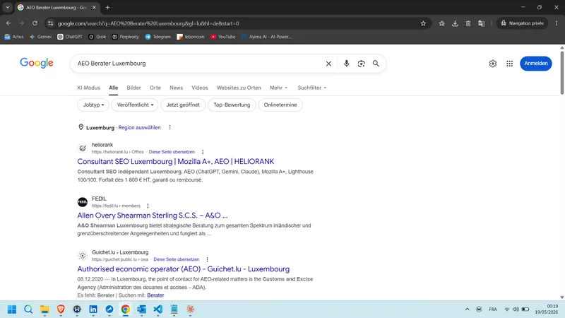 Capture Google.de (organique) DE — AEO Berater Luxembourg (19 mai 2026)